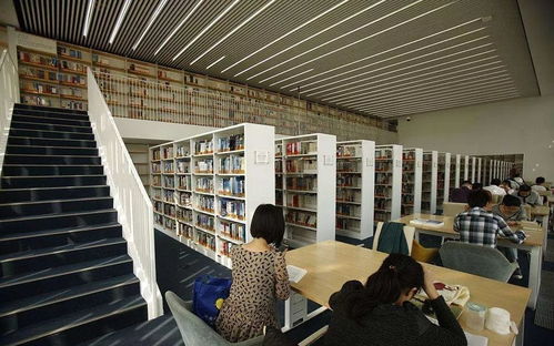 看完這些天津人的好消息，長假回來也開心了——聚焦信息技術(shù)咨詢服務(wù)新機遇