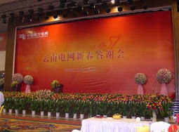 會(huì)議會(huì)場(chǎng)搭建布置與展覽服務(wù)